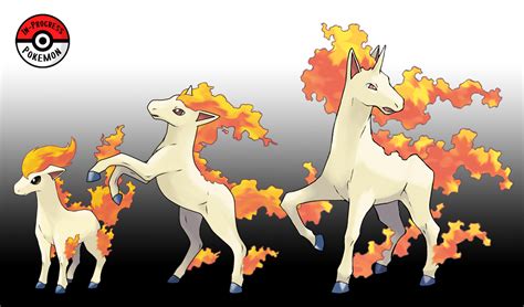 evolved ponyta